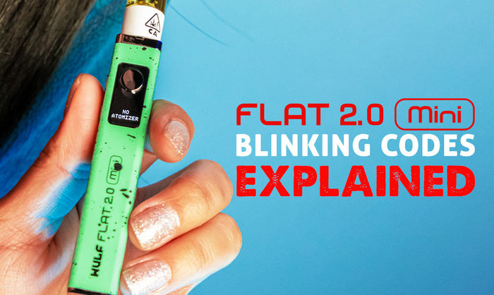 Wulf Flat Mini 2.0 Blinklichtcodes erklärt